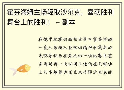 霍芬海姆主场轻取沙尔克，喜获胜利舞台上的胜利！ - 副本