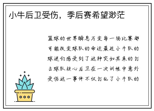小牛后卫受伤，季后赛希望渺茫