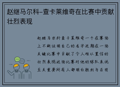 赵继马尔科-查卡莱维奇在比赛中贡献壮烈表现